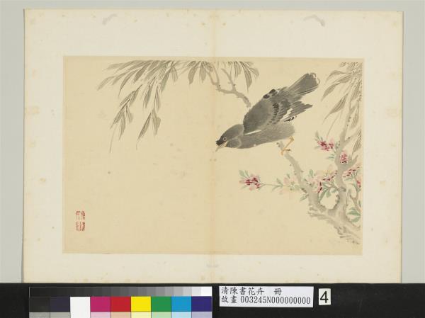 清陳書花卉　冊　桃花八哥