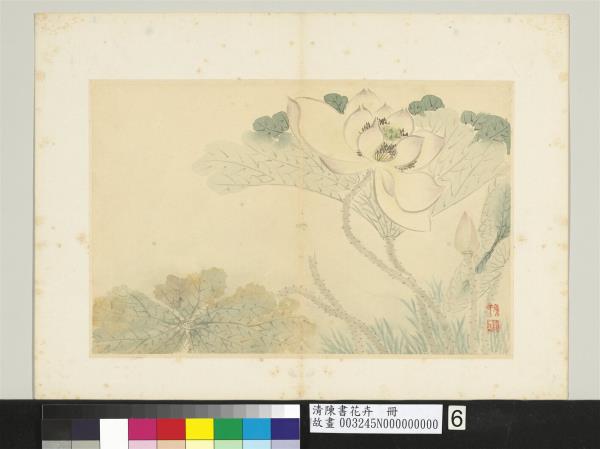 清陳書花卉　冊　荷花