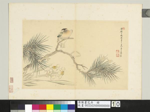 清陳書花卉　冊　松樹水仙