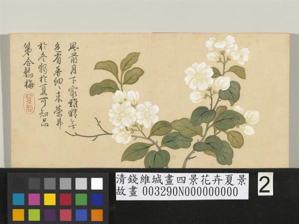 清錢維城畫四景花卉夏景冊虞美人- 故宮