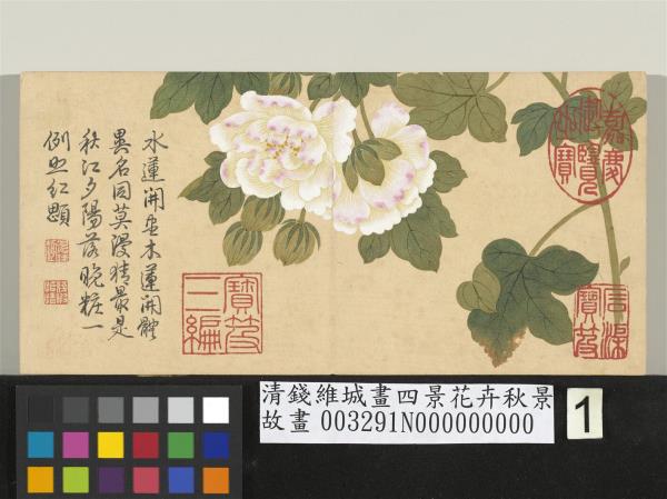 清錢維城畫四景花卉秋景　冊　木芙蓉