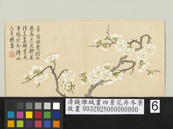 清錢維城畫四景花卉冬景　冊　綠萼梅