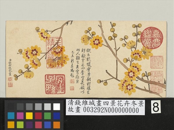 清錢維城畫四景花卉冬景　冊　臘梅