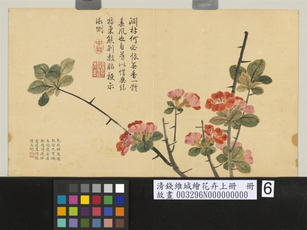 清錢維城繪花卉（上）冊　貼梗海棠