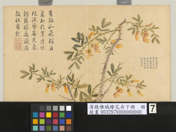 清錢維城繪花卉（下）　冊　金雀