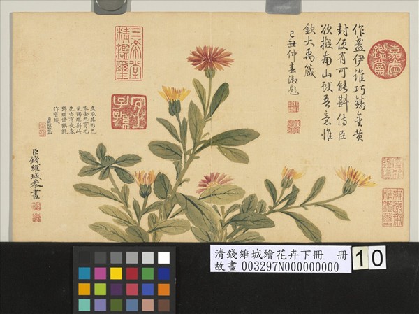 清錢維城繪花卉（下）　冊　金盞