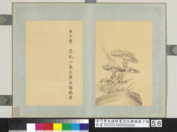 清門應兆補繪蕭雲從離騷圖下冊　冊　瑞草