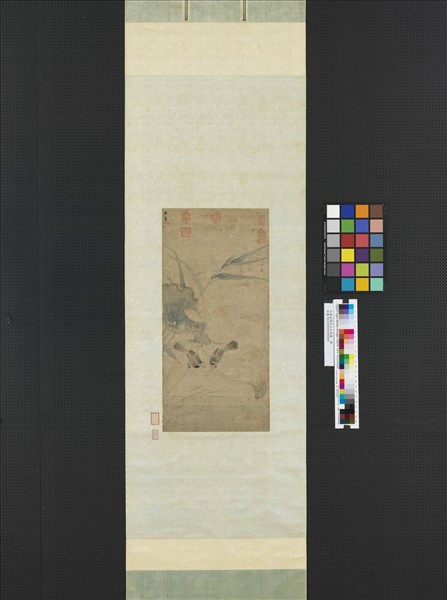 元趙孟頫荷花水鳥圖　軸