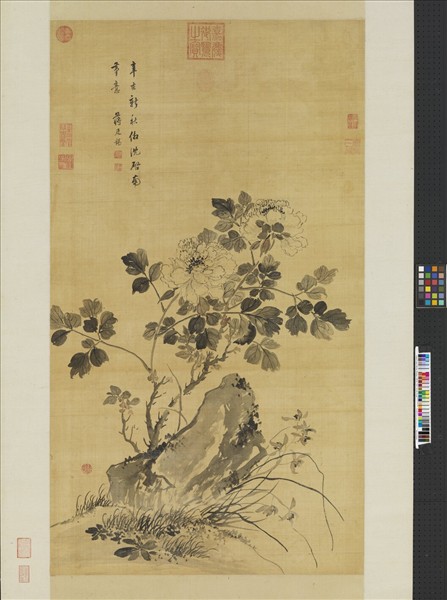 清蔣廷錫墨牡丹　軸