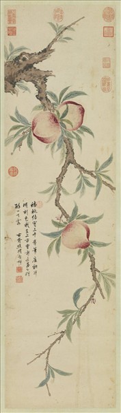 明項聖謨蟠桃圖　軸