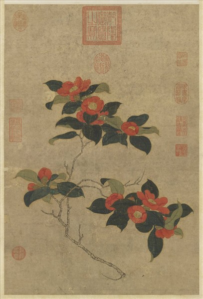 宋人山茶寫生　軸