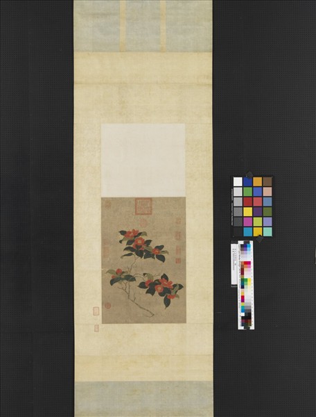 宋人山茶寫生　軸