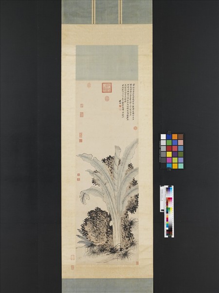 明錢穀倣王蒙蕉石　軸