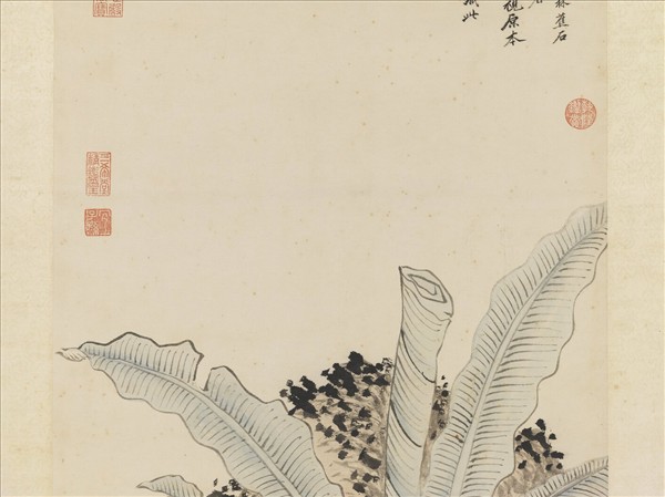 明錢穀倣王蒙蕉石　軸