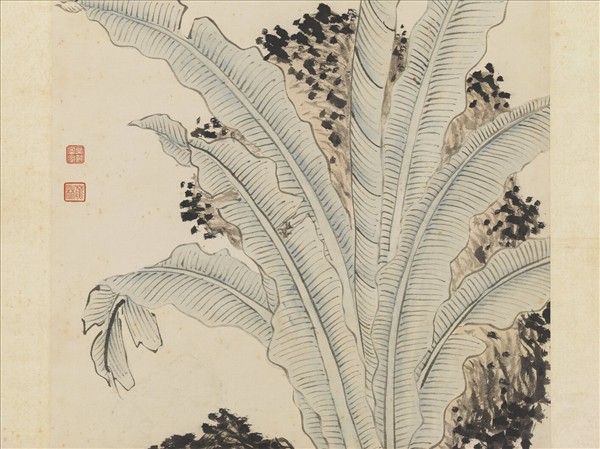 明錢穀倣王蒙蕉石　軸