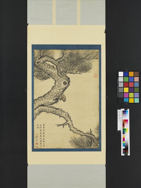 清鄒一桂畫松　軸