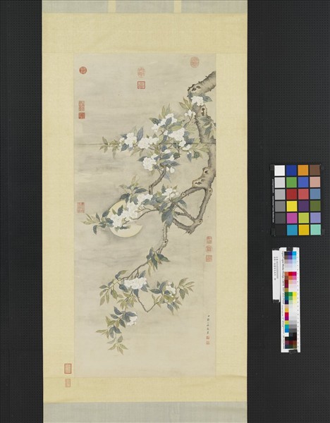 清鄒一桂畫梨花夜月　軸