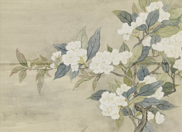 清鄒一桂畫梨花夜月　軸