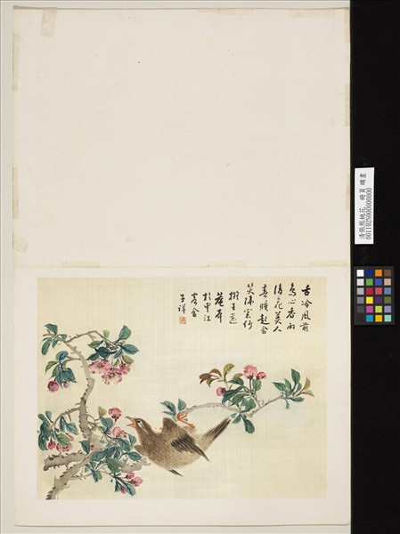 清張熊桃花　冊頁