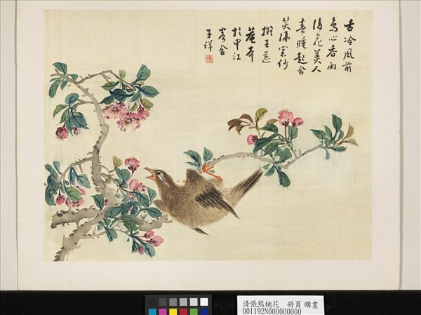 清張熊桃花　冊頁