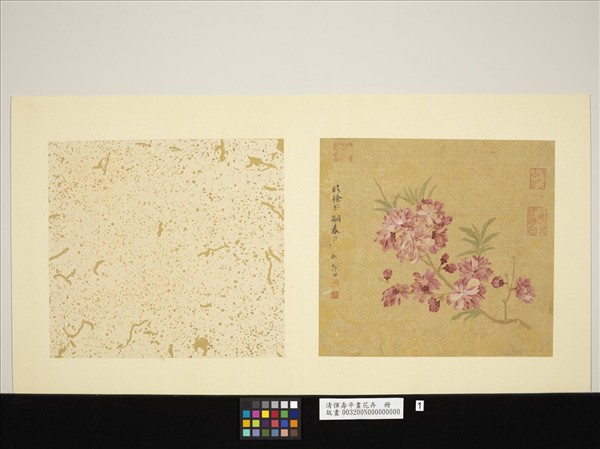 清惲壽平畫花卉　冊　臨徐崇嗣春風圖