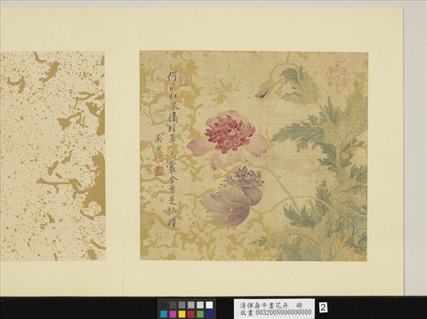 清惲壽平畫花卉　冊　罌粟