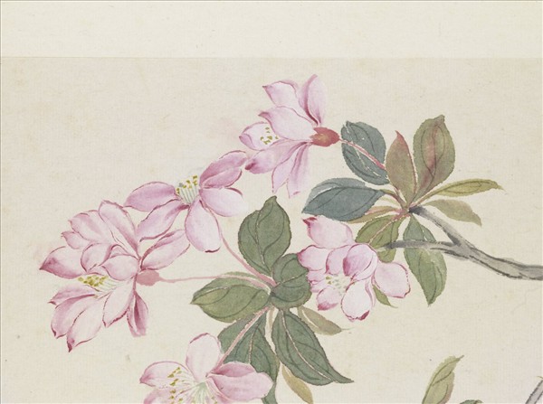 清惲壽平王翬花卉山水合冊　冊　辛夷