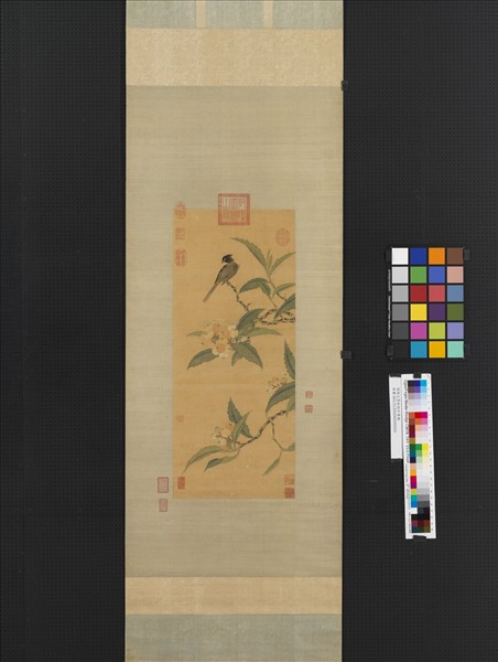 明周之冕枇杷珍禽　軸