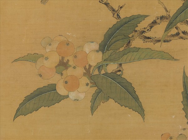 明周之冕枇杷珍禽　軸