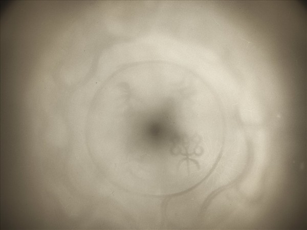 白釉錐拱龍紋盤