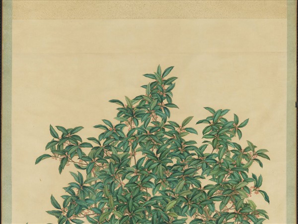 清沈全畫桂花　軸