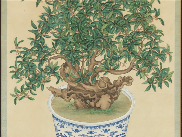 清沈全畫桂花　軸