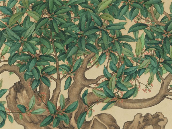 清沈全畫桂花　軸