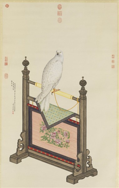 清賀清泰畫黃鷹　軸