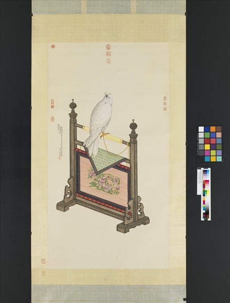 清賀清泰畫黃鷹　軸