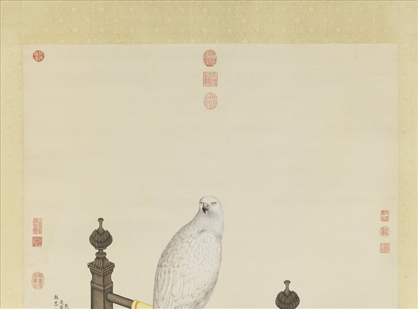 清賀清泰畫黃鷹　軸