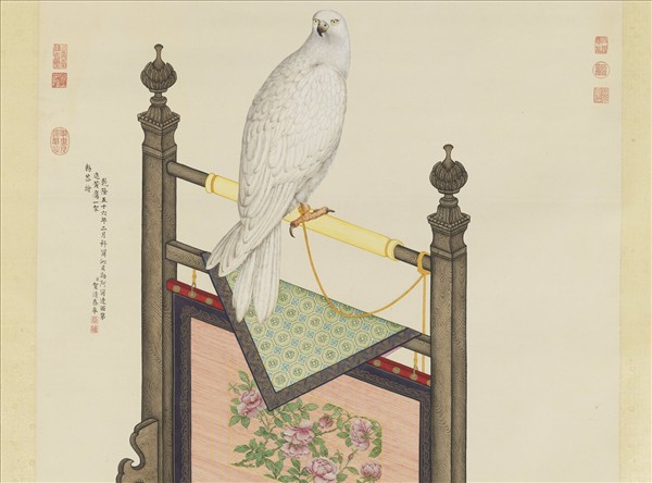 清賀清泰畫黃鷹　軸