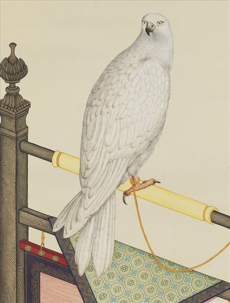 清賀清泰畫黃鷹　軸