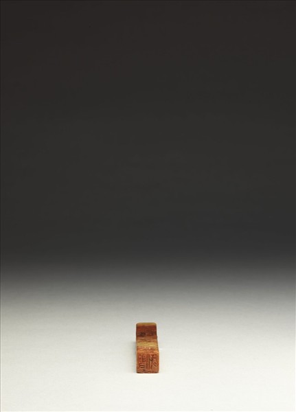 「傅氏」泰來石印