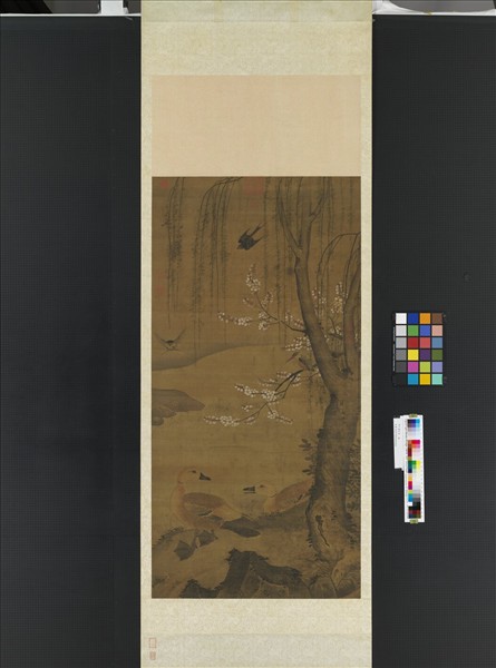 明人畫花鳥　軸