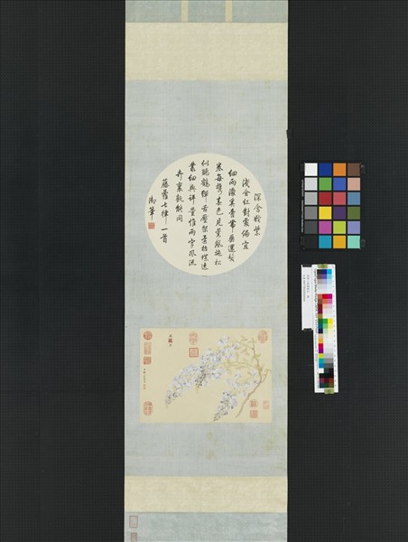 清鄒一桂畫藤花　軸