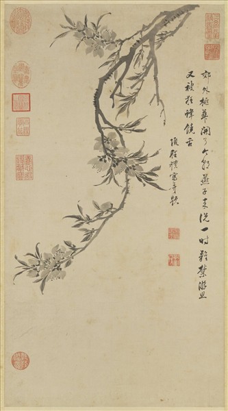 明項聖謨桃花寫生　軸