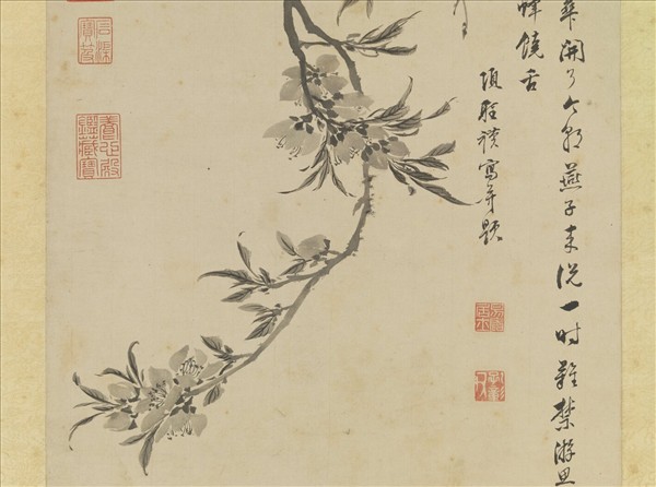 明項聖謨桃花寫生　軸