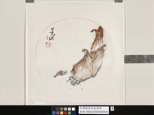 民國楊善深畫花卉魚人物扇面　竹筍