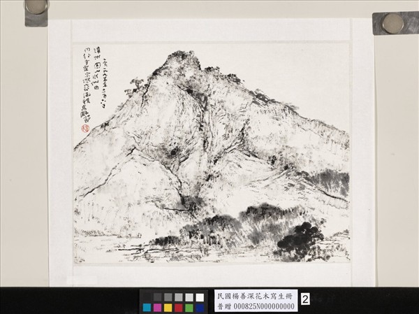 民國楊善深畫花卉草蟲山水　漳州圓山水仙田