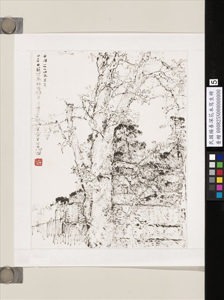 民國楊善深畫花卉草蟲山水　遊胡志明市