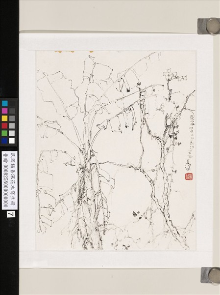 民國楊善深畫花卉草蟲山水　芭蕉