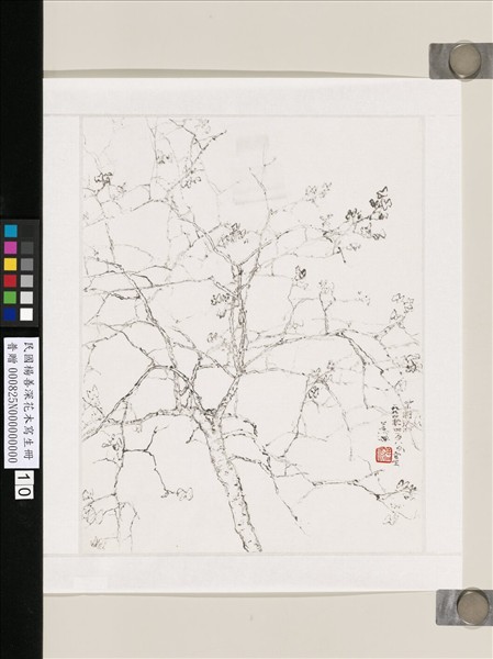 民國楊善深畫花卉草蟲山水　紫荊篠