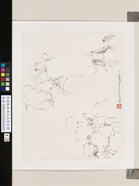 民國楊善深畫花卉草蟲山水　海棠芍藥