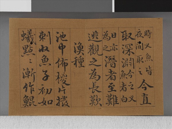 王際華書御製漁樵二十詠 上冊